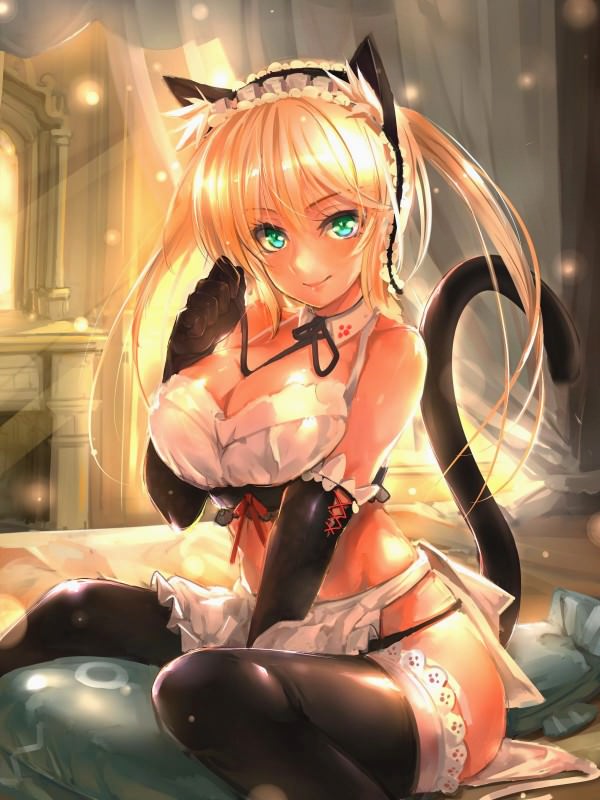  ,  ,    ,      .       ,       